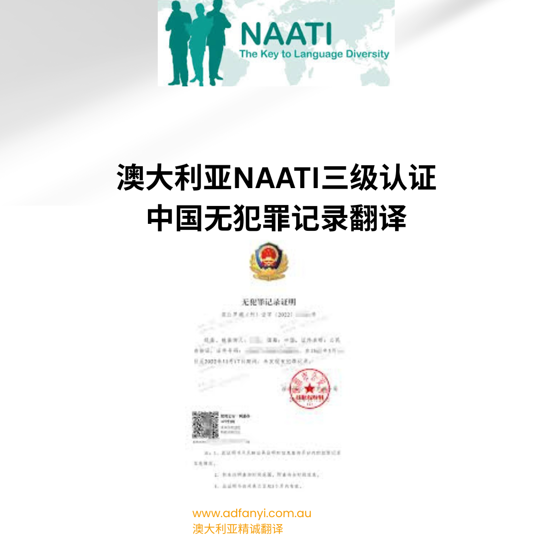 中国无犯罪证明记录翻译