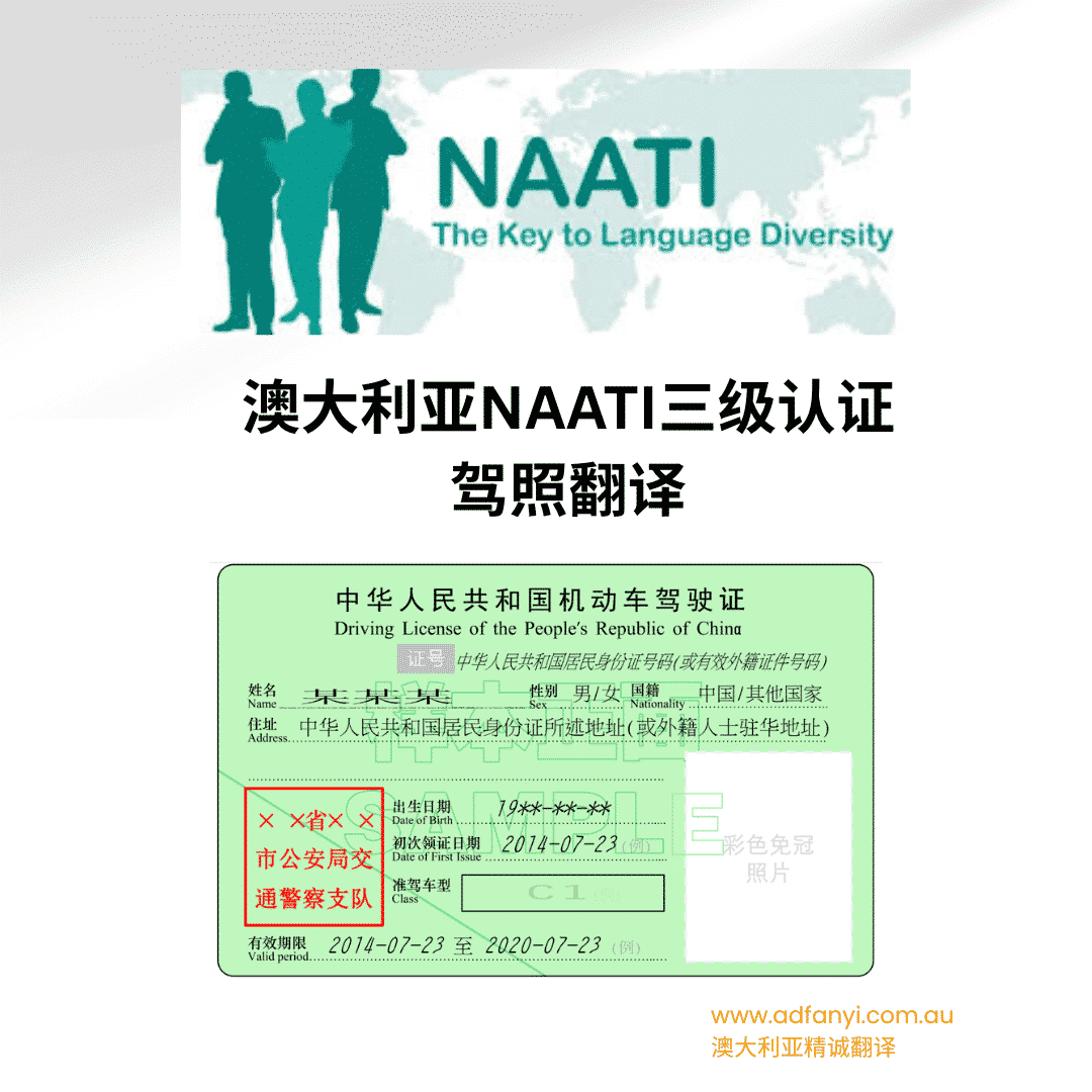 中国驾照翻译